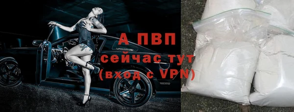 гидра Лагань
