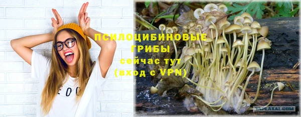 Альфа ПВП Лабытнанги