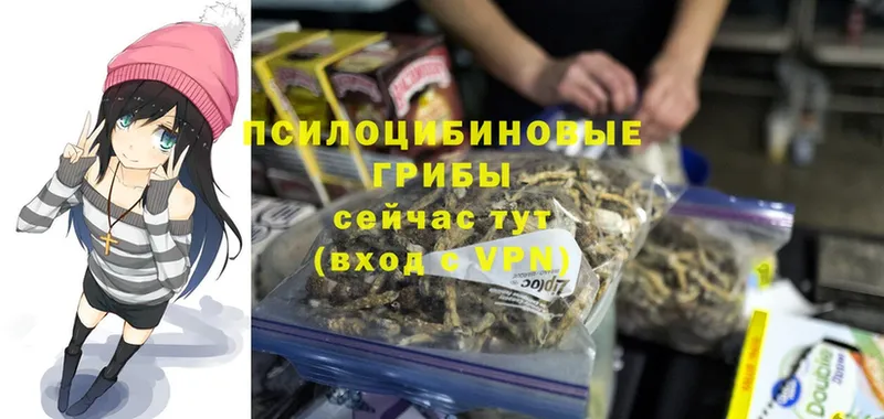 Галлюциногенные грибы Psilocybine cubensis  omg зеркало  Новоульяновск 